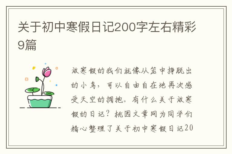 关于初中寒假日记200字左右精彩9篇
