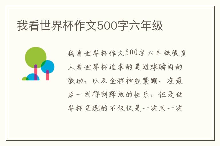我看世界杯作文500字六年级