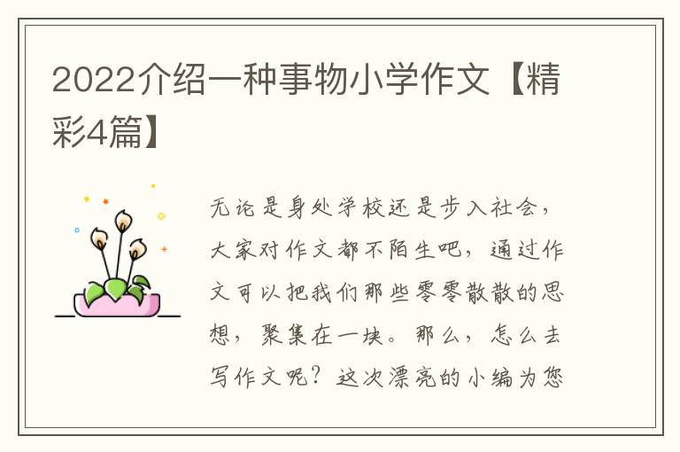 2022介绍一种事物小学作文【精彩4篇】