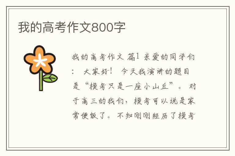 我的高考作文800字