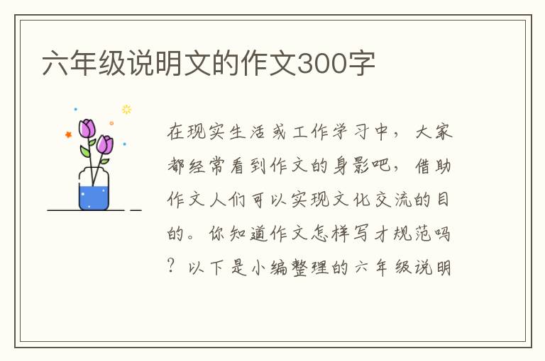 六年级说明文的作文300字