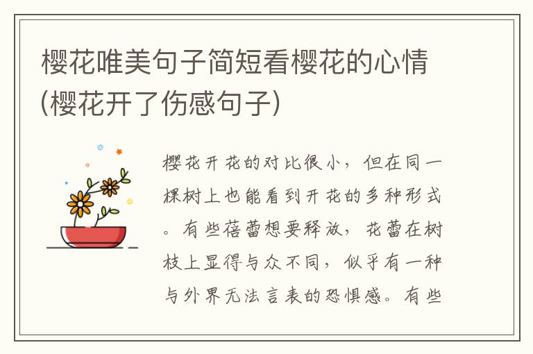 樱花唯美句子简短看樱花的心情(樱