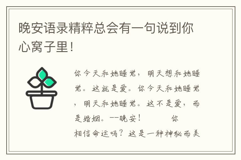 晚安语录精粹总会有一句说到你心窝子里！