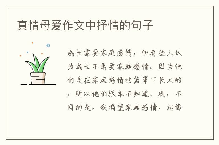 真情母爱作文中抒情的句子