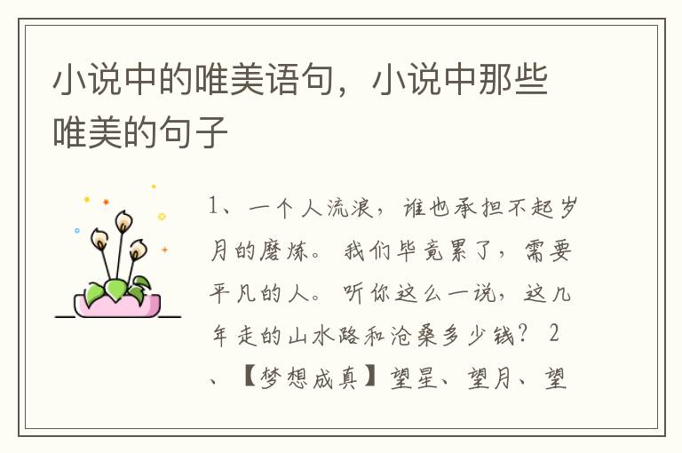小说中的唯美语句，小说中那些唯美的句子
