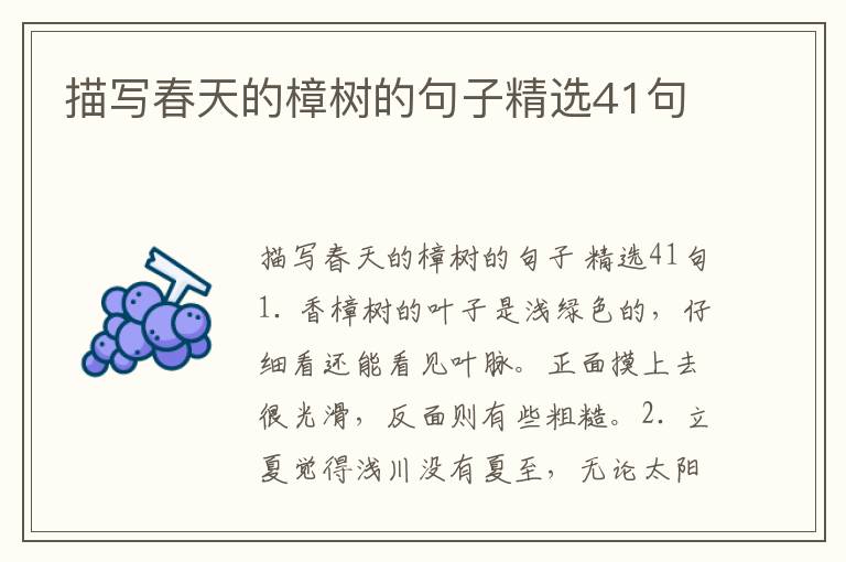 描写春天的樟树的句子精选41句