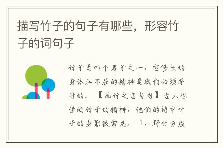 描写竹子的句子有哪些，形容竹子的词句子