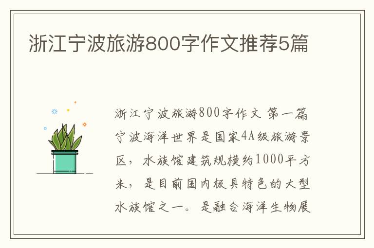 浙江宁波旅游800字作文推荐5篇