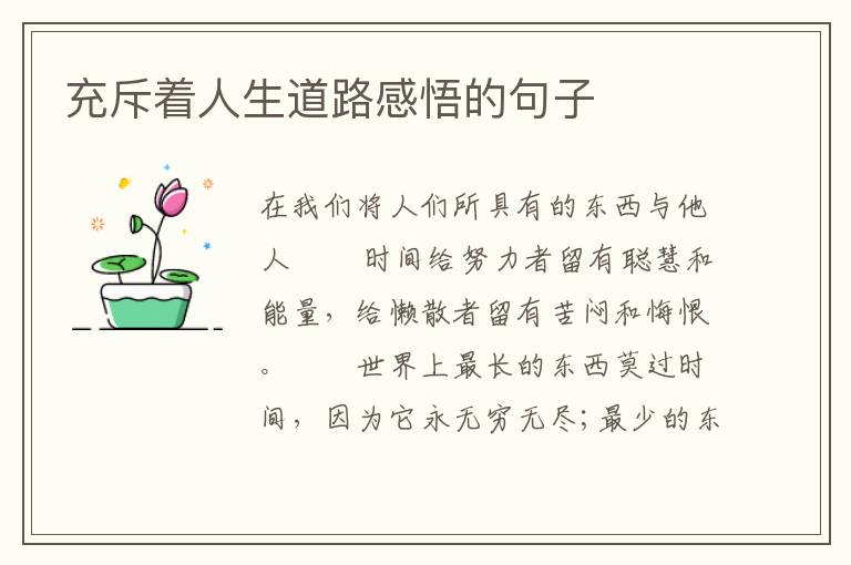 充斥着人生道路感悟的句子