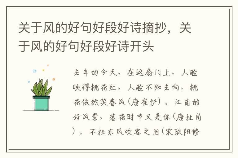 关于风的好句好段好诗摘抄，关于风的好句好段好诗开头
