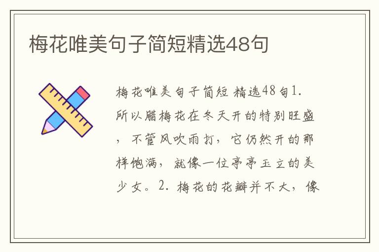 梅花唯美句子简短精选48句