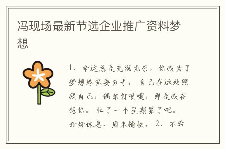 冯现场最新节选企业推广资料梦想