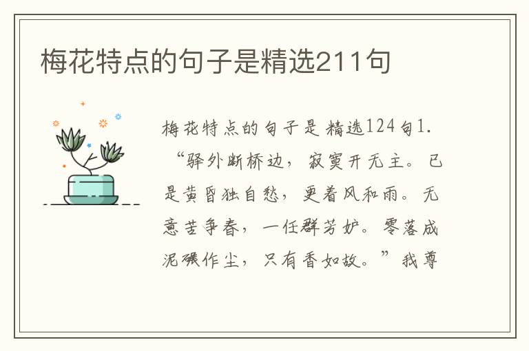 梅花特点的句子是精选211句