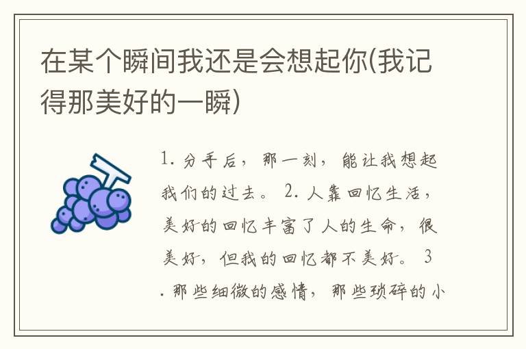 在某个瞬间我还是会想起你(我记得那美好的一瞬)