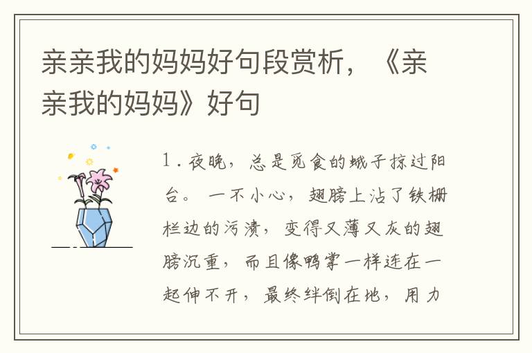 亲亲我的妈妈好句段赏析，《亲亲我的妈妈》好句