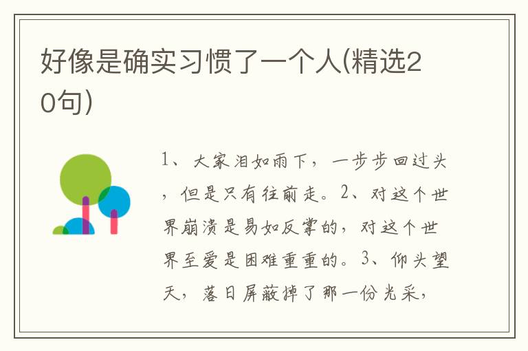 好像是确实习惯了一个人(精选20句)