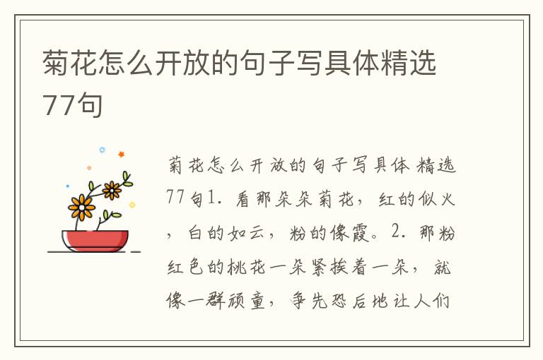 菊花怎么开放的句子写具体精选77句