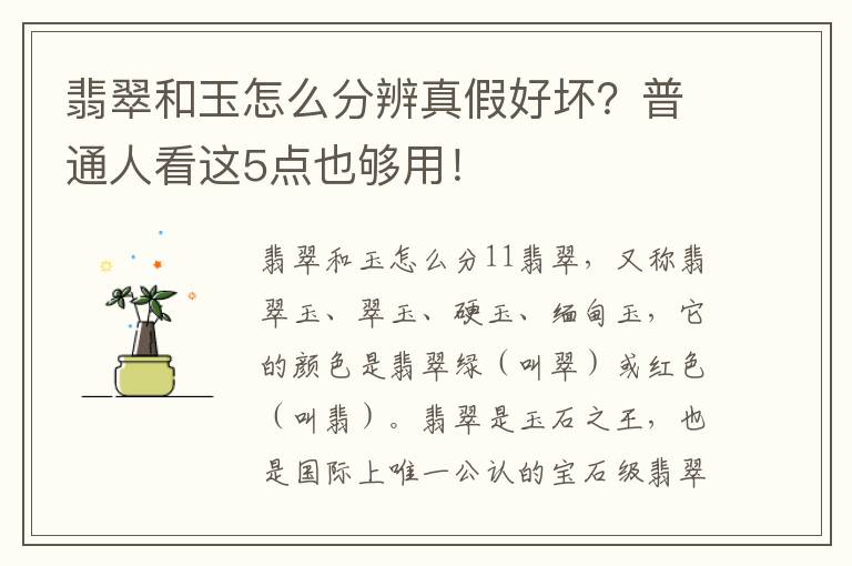 翡翠和玉怎么分辨真假好坏？普通人看这5点也够用！