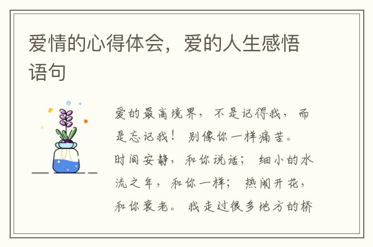 爱情的心得体会，爱的人生感悟语句
