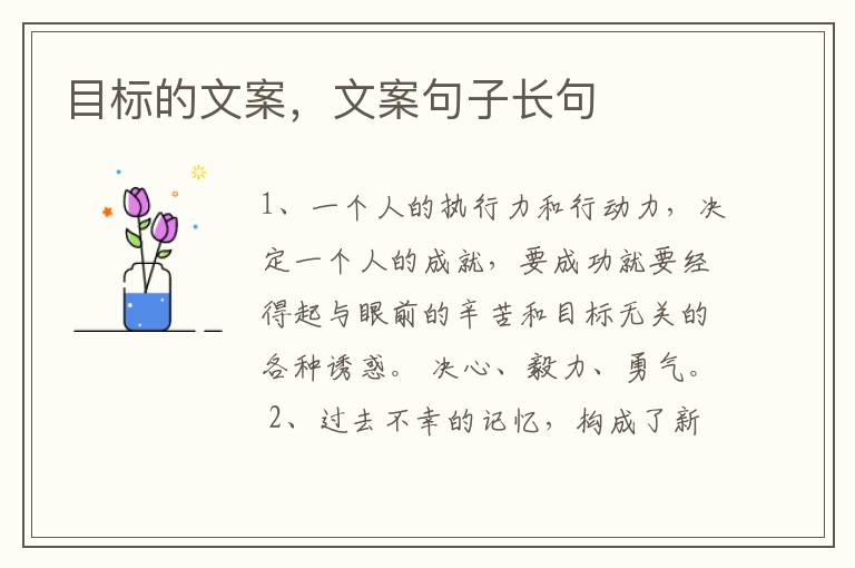 目标的文案，文案句子长句