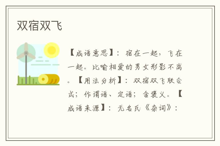 双宿双飞