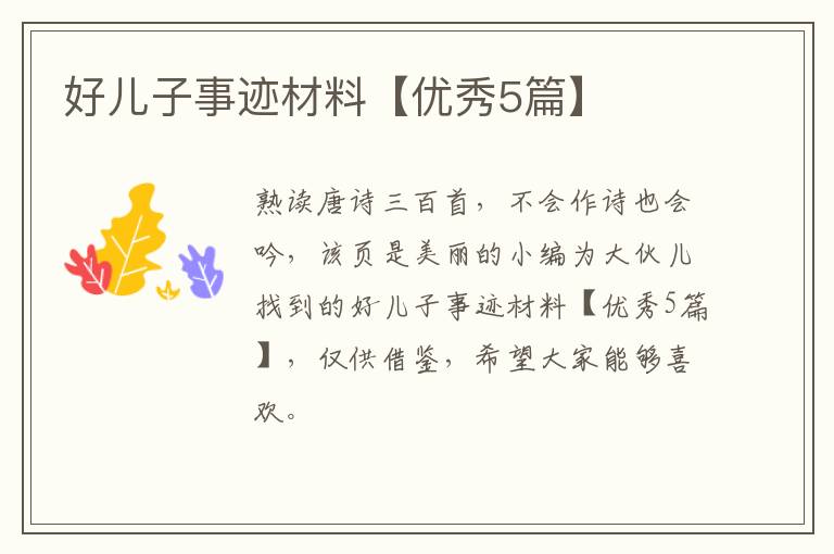 好儿子事迹材料【优秀5篇】