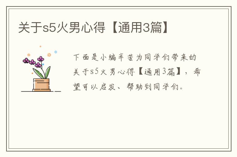 关于s5火男心得【通用3篇】