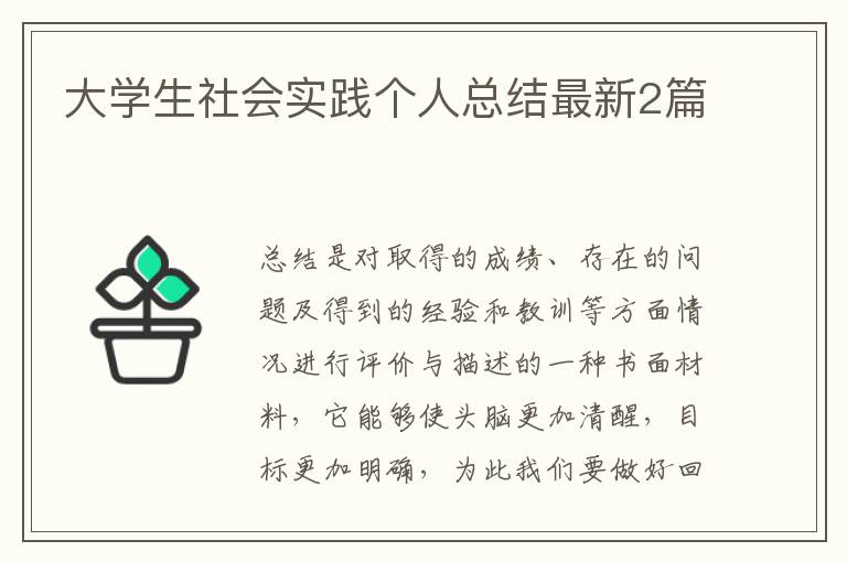 大学生社会实践个人总结最新2篇