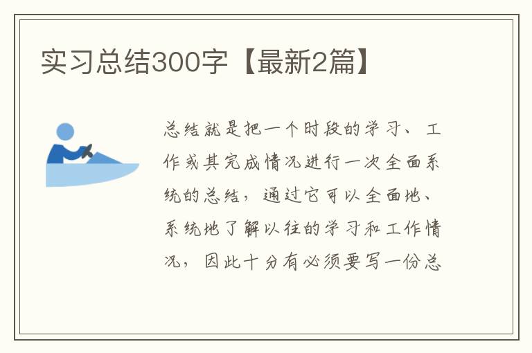 实习总结300字【最新2篇】