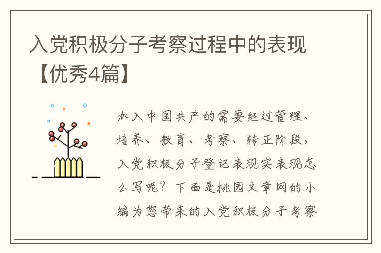 入党积极分子考察过程中的表现【优