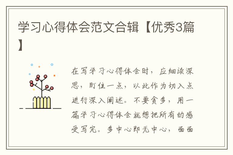 学习心得体会范文合辑【优秀3篇】