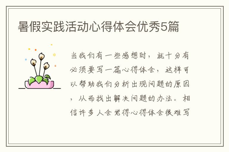暑假实践活动心得体会优秀5篇