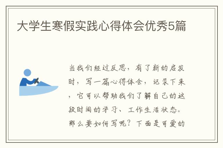 大学生寒假实践心得体会优秀5篇