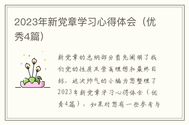 2023年新党章学习心得体会（优秀4篇）
