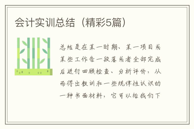 会计实训总结（精彩5篇）