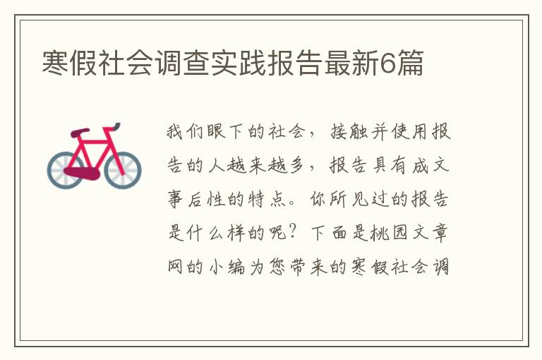 寒假社会调查实践报告最新6篇