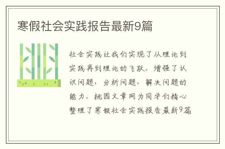 寒假社会实践报告最新9篇