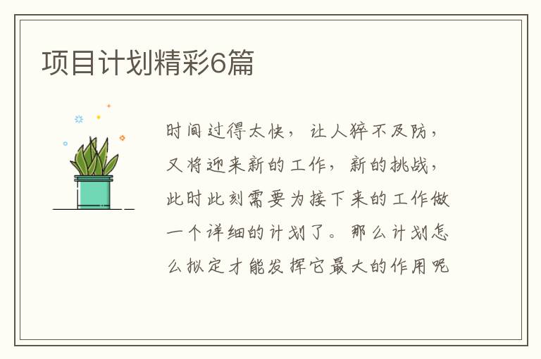 项目计划精彩6篇