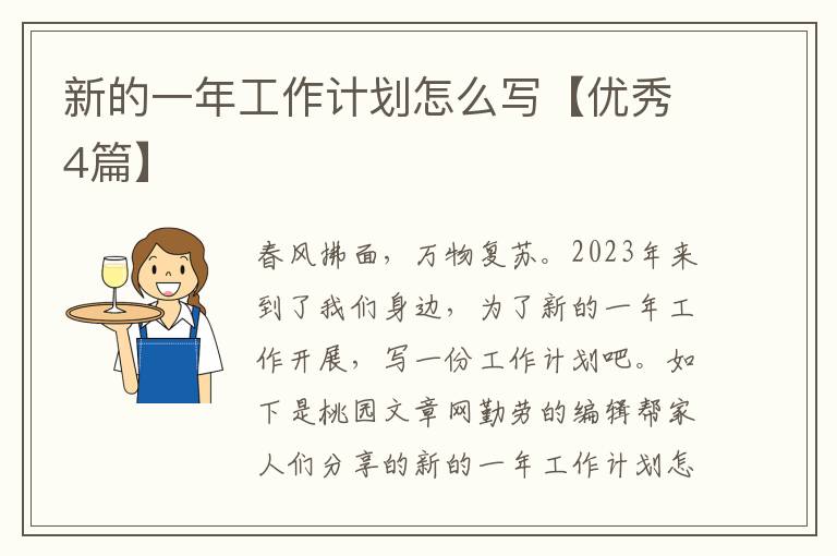 新的一年工作计划怎么写【优秀4篇】