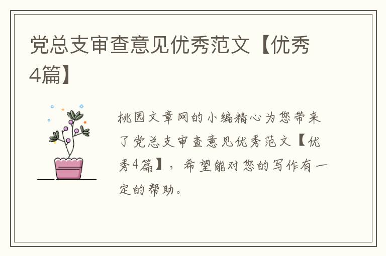 党总支审查意见优秀范文【优秀4篇】