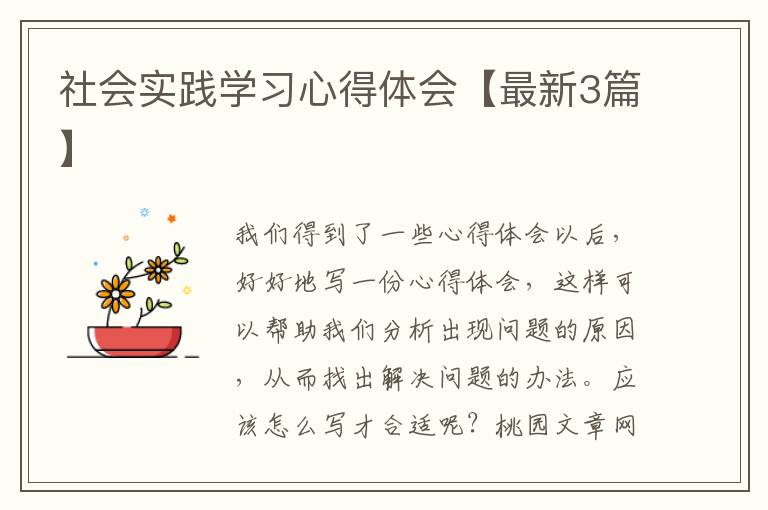社会实践学习心得体会【最新3篇】